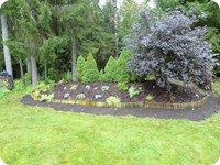 Amanda Elisabeth Jensen